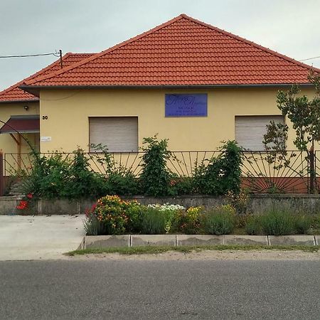 Abigél Apartman Mórahalom Esterno foto